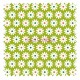 Daisy green anise backgroung