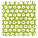 Daisy green anise backgroung
