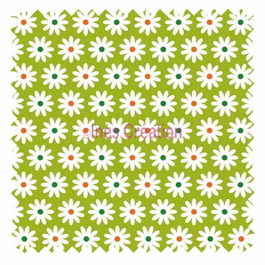 Daisy green anise backgroung